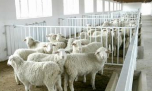 養(yǎng)殖場(chǎng)二次供水設(shè)備.png 養(yǎng)殖場(chǎng)二次供水設(shè)備.png