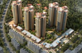 廣元蓮花村.png 廣元蓮花村.png