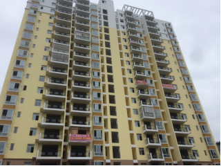 ιˮO(sh)ӭµİl(f)չ߳ЈMһU